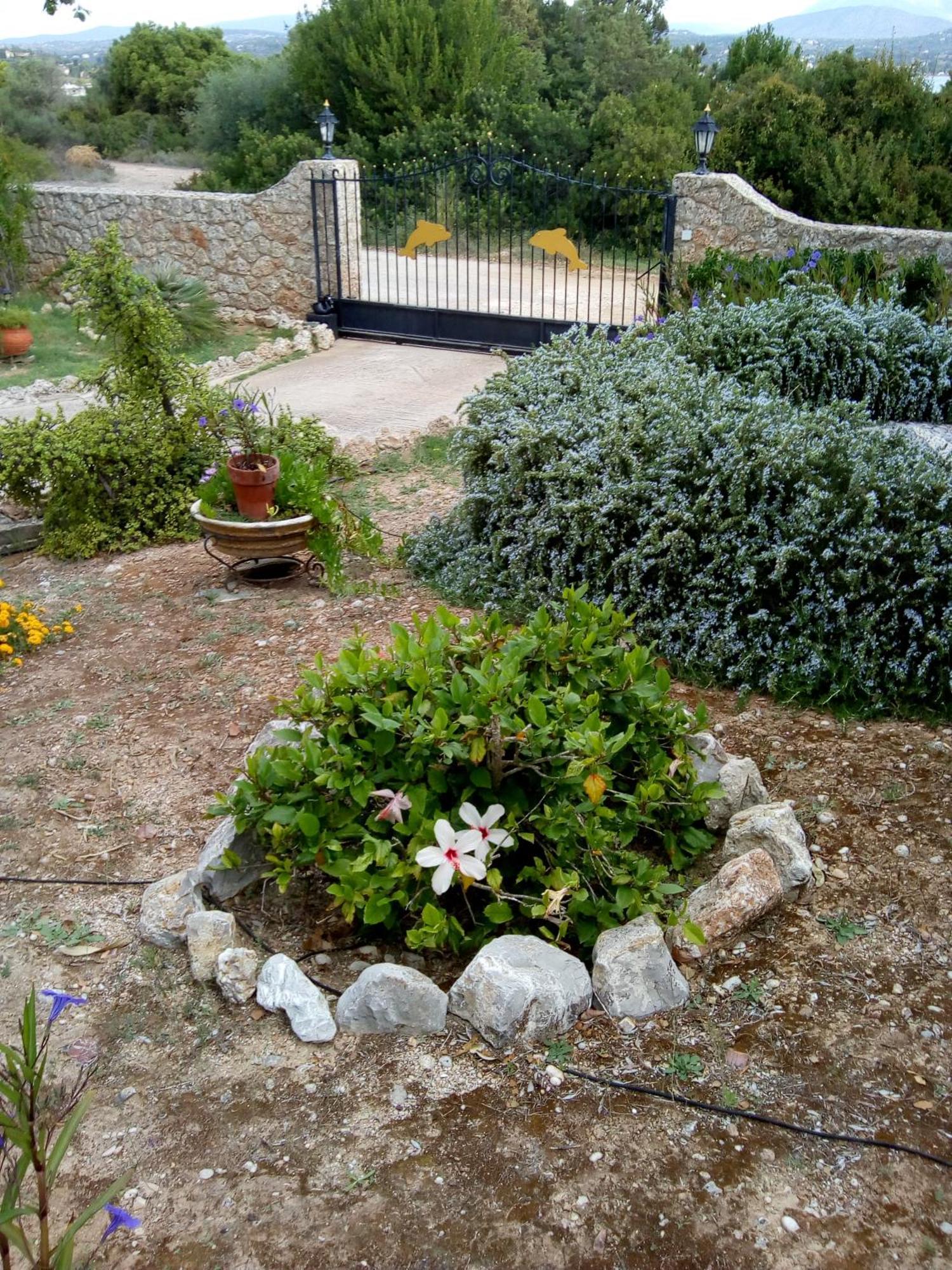 Villa Rita - Porto Heli Eksteriør billede