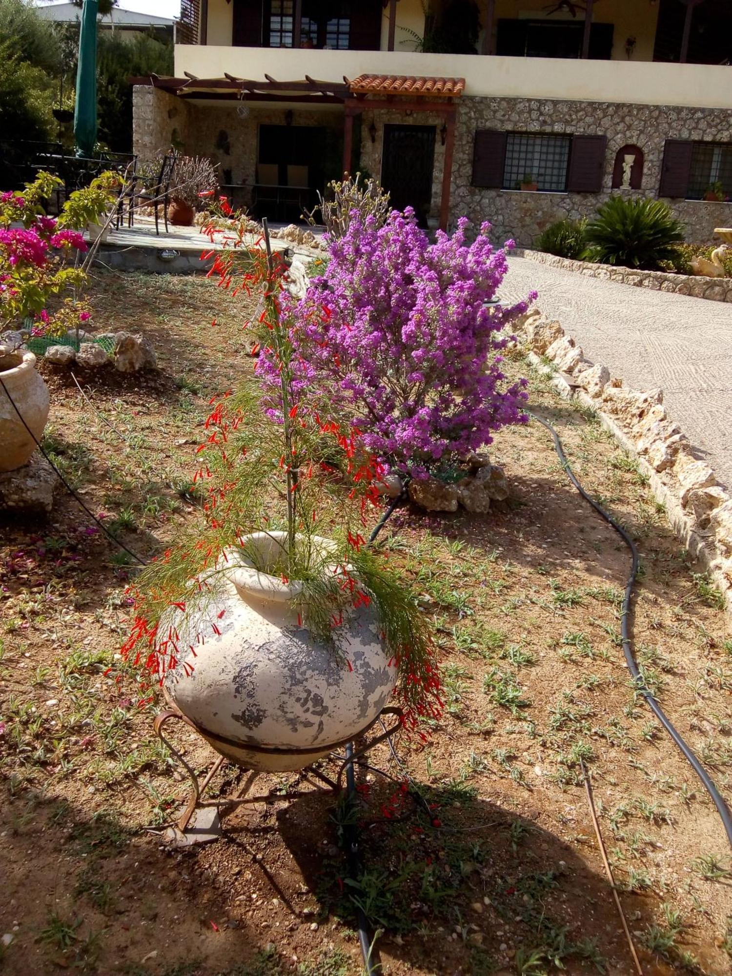 Villa Rita - Porto Heli Eksteriør billede
